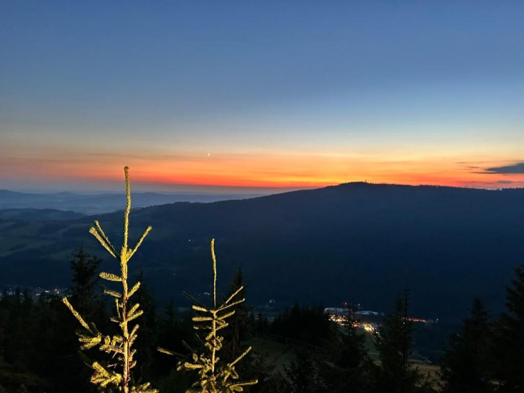 Apartmany Barth Holiday - Dolni Morava Bagian luar foto